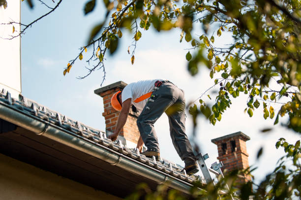 Best Commercial Roofing Services  in Clay City, IN